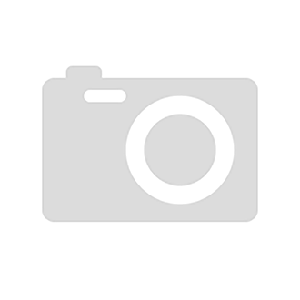 Server Dell PowerEdge M610